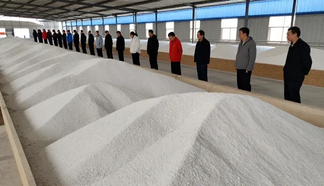 土壤管理在种植中的常见问题及应对策略