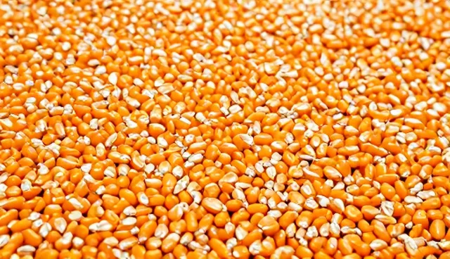 生物农药在玉米种子种植中的适用情况与限制